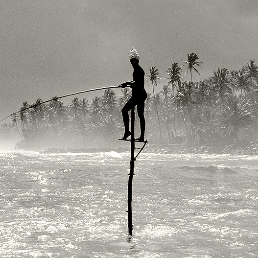 Pescatore, Costa meridionale, Sri Lanka.